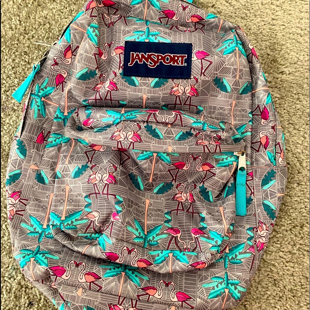 Flamingo Jansport Backpack